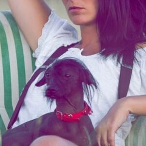 Actress Cécile Consul HD Instagram Photos and Wallpapers April 2024