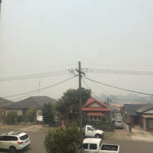 Celia Ireland Instagram - Sydney today! This is bloody ridiculous! Where is the government help for the firefighters and volunteers? Bless them, on the ground dealing with these monstrous fires that are eating up huge parcels of life giving national parks and bush. Smoke haze has been at ‘hazardous’ levels for weeks in and around Sydney, clearly the Morrison government is ‘letting’ the bush burn now, seems to be NO real help and today is shocking! My house is sealed up, air purifier going crazy with readings of PM2.5, shocking, climate change is real guys, Morrison government are culpable, ignoring warnings in April from heads of Rural Fire Depts who warned of a catastrophe!! This is it! @earthalliance @climatereality