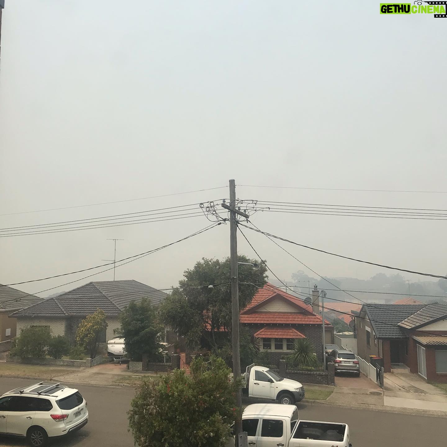 Celia Ireland - 1.5K Likes - Sydney today! This is bloody ridiculous! Where is the government help for the firefighters and volunteers? Bless them, on the ground dealing with these monstrous fires that are eating up huge parcels of life giving national parks and bush. Smoke haze has been at ‘hazardous’ levels for weeks in and around Sydney, clearly the Morrison government is ‘letting’ the bush burn now, seems to be NO real help and today is shocking! My house is sealed up, air purifier going crazy with readings of PM2.5, shocking, climate change is real guys, Morrison government are culpable, ignoring warnings in April from heads of Rural Fire Depts who warned of a catastrophe!! This is it! @earthalliance @climatereality