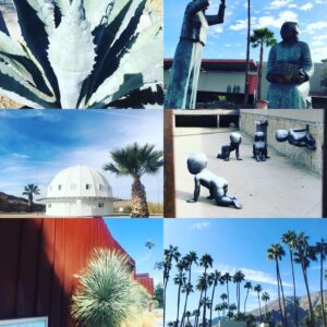 Celia Ireland Instagram - A little taste of some of the wonders of the Palm Springs CA area, great break #happylittlevegemite #LizTheBird
