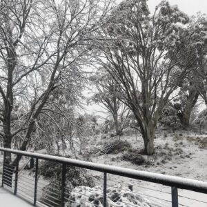 Celia Ireland Instagram - Crackenback, NSW, beautiful, wonderful snow, sending love and peace to all xxxx