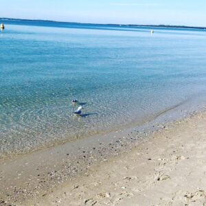 Celia Ireland Instagram - Dip into life! Blessings and light peeps wherever you are, whatever is going on for you xx