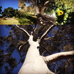 Celia Ireland Instagram - Morning walk beauties. Go gently peeps, love and light to all xxxx