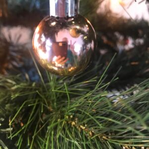 Celia Ireland Instagram - Dearest all, best wishes for a happy, safe, smoke free Chrissy, with buckets of rain in our part of the planet and a remarkable 2020, where we all launch into the year with love, courage, commitment and the power to change the things we need to change. Big warm Chrissy love to you all xxxx #LizTheBird