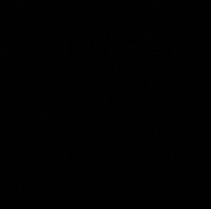Celine Buckens Instagram - #blackouttuesday deleted my last one which hashtagged black lives matter - please do so too if you made the same mistake as me. Simply editing the caption doesn’t work with insta’s algorithm, and floods the hashtag page so important information can’t be found. Apologies for the error 🖤