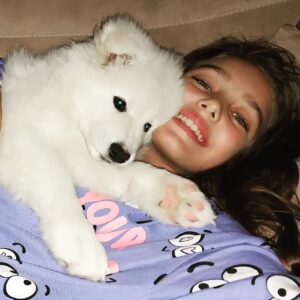 Cemre Demircan Instagram - Pamuk 💖💖 

#samoyedlove #samoyed #samoyedlovers
#satınalmasahiplen #satinalmasahiplen