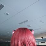 Cent Chihiro Chittiii Instagram - 赤い犬みつけた @ainatheend_official