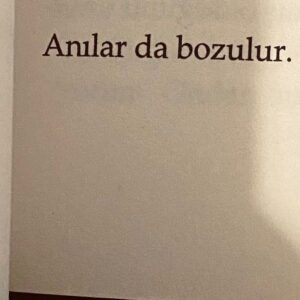 Ceren Koç Instagram - istemek üzerine vol 1. 🤎