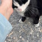Ceren Taşçı Instagram - Nasıl tarif edilir bu his bilmiyorum…Göğsümün tam orta yerine koca koca şehirler oturdu.Nefes aldıkça yitirdiğimiz onca insanın acısı kalbime saplanıyor.Bu kalp ağrısı nasıl geçer?Geçer mi?Bilmiyorum.Bugün çok sevdiğim biri ‘Sanki bir parça koptu gitti,bir daha geri gelmeyecek gibi hissediyorum’dedi.Öyle bir şey işte… Sabah uyanıp haberleri gördüğümde,hıçkıra hıçkıra ağlamaya başladım.Sonrasında orada olduğunu bildiğim,oralı olduğunu bildiğim insanlara ulaşmaya çalıştım bütün gün boyunca.Çok sevdiğim bir arkadaşımın ailesinin yaşadığı bina yıkılmış,apar topar yola çıkmışlar.Dua ediyorum onlara,tanıdığım tanımadığım yüzlerce insana ‘Ne olur bir şey olmasın.Ne olur sağ salim kavuşsun herkes ailesine,sevdiklerine.’Sonra,hayatımda hiç duymadığım kadar yardım çığılığı duyuyorum;televizyonda,sosyal medyada,her yerde…Elimden telefon düşmüyor.Kime nasıl ulaşabilirsem,elim nereye yeterse uğraşıyorum.Babalatv’yi Oğuzhan’ı arıyorum,ahbap,dağcı arkadaşlarım,arama kurtarmacı arkadaşlarım,oyuncu arkadaşlarımdan vinç operatörlerine kadar…Yetememe hissi,çaresizlik hissi büyüyor da büyüyor içimde.Günler geçtikçe ölen insaların sayısı artıyor.Nedenler,nasıl olurlar arasında boğuluyorum.Kötü haberler gelmeye devam ediyor dört bir yandan.Yola çıkan arkadaşım ‘Annemi kendi ellerimle çıkarttım’diyor.Attığı ses kaydını defalarca dinliyorum.Gerçek olmasın istiyorum.Ne olur bu yaşadıklarımızın hiçbiri gerçek olmasın.Sonra kafamı toplamaya çalışıyorum.Ne yapabilirim?Bu çaresizlik hissini ancak paylaşabilirim.Giderim belki birine sarılırım,derdini dinlerim,birine bir bardak su,yemek götürürüm,birilerine iyi gelirim belki diye çıkıyorum yola.Hatay’a varıyorum.Ah be güzel memleket sen bunca acıyı nasıl gömdün içine?Yıkılan binalar,enkazların başlarında ateş yakıp bekleyen insanlar,şehrin kokusu,toz duman…Arkadaşımın cenaze evine gidiyorum önce.Ben böyle güzel insanlar görmedim,nasıl ağarlayacaklarını şaşırıyorlar.’Ben sizin için geldim,siz ne olur rahat edin.Beni düşünmeyin.’diyorum ama sonradan anlıyorum ki buranın insanının kalbi kendinden büyükmüş.Öyle yüce gönüllü insanlarla tanıştım ki bağlandım ben onlara.Bundan başka bir şey diyemem.