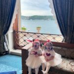 Cevahir Turan Instagram - Güzelliklerim 🥰 Onlarla daha güzel oluyorum ❤️