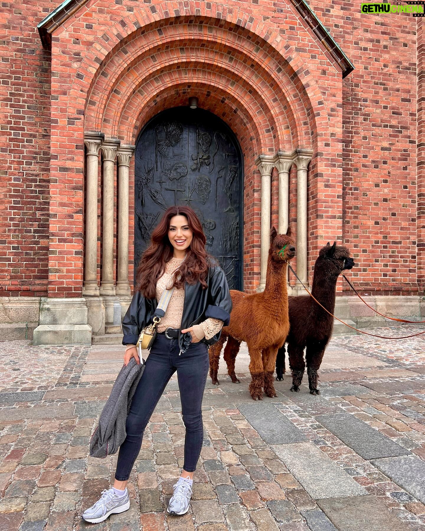 Cevahir Turan Instagram - Danimarka’nın küçük bir şehri Roskilde ☺️ #roskilde #denmark