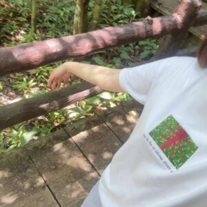 Cha Hee Instagram - 🪲🏜️🧝🏻‍♀️🫧