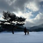 Cha Hee Instagram – 2024도 친하게지내자 덕희씨 ๑˃̵ᴗ˂̵)💞(ᵔᴥᵔ)