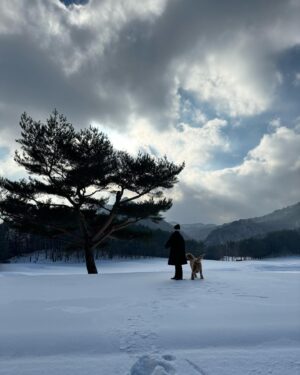 Cha Hee Instagram - 2024도 친하게지내자 덕희씨 ๑˃̵ᴗ˂̵)💞(ᵔᴥᵔ)