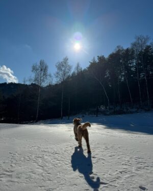 Cha Hee Instagram - 2024도 친하게지내자 덕희씨 ๑˃̵ᴗ˂̵)💞(ᵔᴥᵔ)