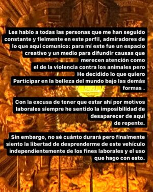 Chabeli Sastre González Instagram - Questo desiderio nasce dopo aver osservato quante volte i miei occhi in qualche istante di vita  non si sono posati su qualcosa che amo profondamente per guardare il telefono. Mi sono domandata se voglio nutrire ancora una bellezza che fa parte del sistema dell’apparire e dell’approvazione, e mi sono risposta che desidero coltivarne una più profonda in questo momento, che forse non lascia tracce visibili come l’altra ma ne lascerà invisibili.
Pochi giorni fa, probabilmente non per caso, ho condiviso un post che parlava dell’impermanenza dei social e del non affezionarci troppo a qualcosa che potrebbero levarci da un giorno all’altro.
Per coloro che mi chiedono se mi cancellerò, non lo so ma ora mi concedo il distacco. Magari tornerò con nuovi progetti.

Este deseo nació después de observar cuántas veces mis ojos en algunos momentos de la vida no se han detenido en algo que amo profundamente para mirar el teléfono. Me pregunté si todavía quiero nutrir una belleza que forma parte del sistema de apariencia y aprobación, y me respondí que quiero cultivar en este momento una más profunda, que tal vez no deje huellas visibles como la otra pero sí deja los invisibles. 
Hace unos días, probablemente no por casualidad, compartí un post que hablaba de la impermanencia de las redes sociales y de no apegarnos demasiado a algo que nos podría quitar de un día para otro.
Para los que me preguntan si cancelaré, no lo sé pero ahora me doy un respiro. Quizás vuelva con nuevos proyectos.