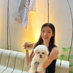 Chae Seo-jin