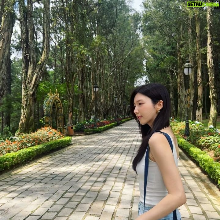 Chae Seo-jin - 3.7K Likes - 달랏은 나트랑 보다 훨씬 시원한 매력이🙂