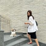 Chae Jung-an Instagram - 롬이랑 밀당💛🐶