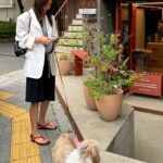 Chae Jung-an Instagram - 롬이랑 밀당💛🐶