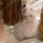 Chae Jung-an Instagram - 최근에 담은 따뜻한 근황 (급 한파주의)❄️