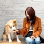 Chae Jung-an Instagram – 개나리 노란 꽃그늘아래🎵🎵🎵🎵