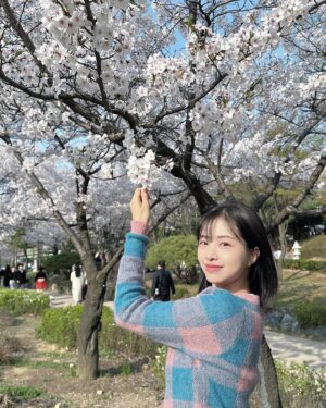 Chaewon Instagram - 다시 봄, 4월🌸

Photo by @y__s._.s__