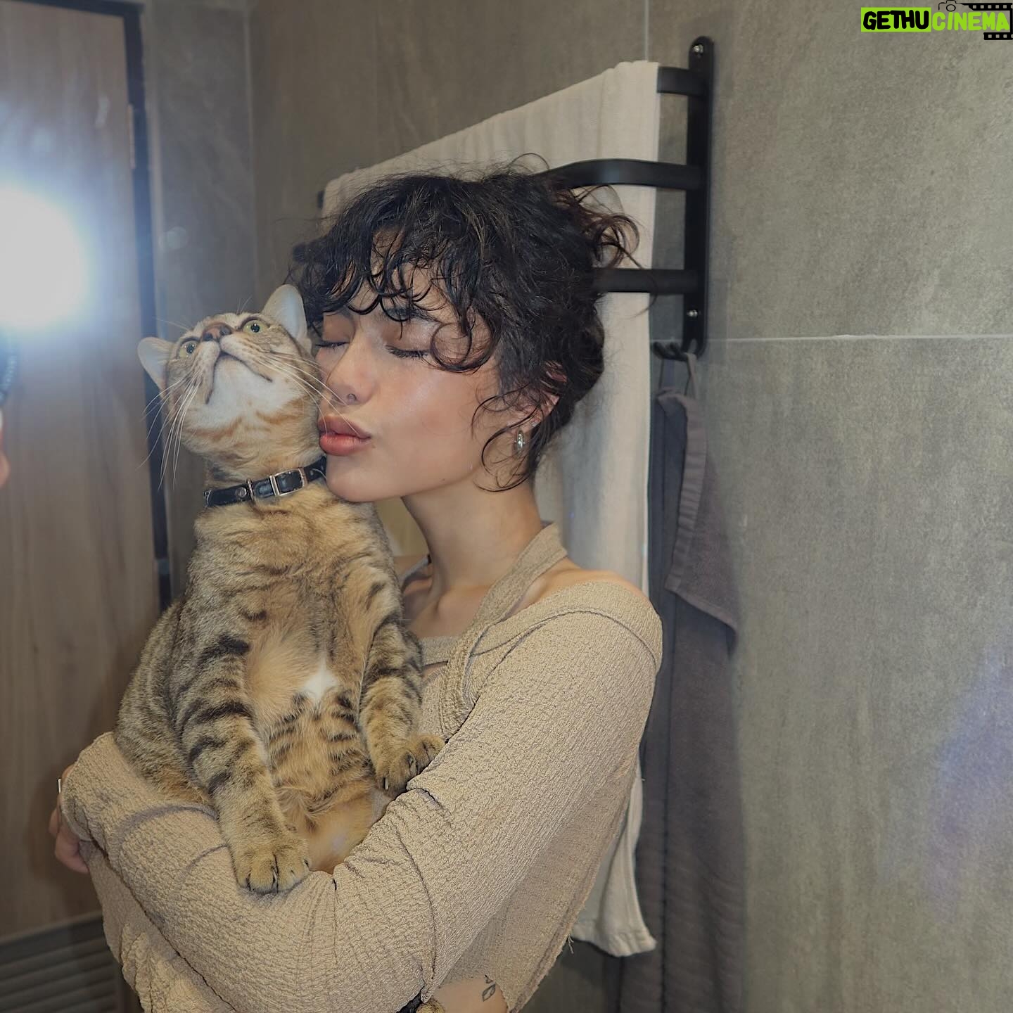Chaleeda Gilbert Instagram - Happy and glowing🐈✨