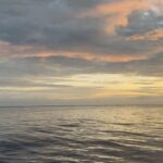 Chandler Kinney Instagram - on fiji time🌺