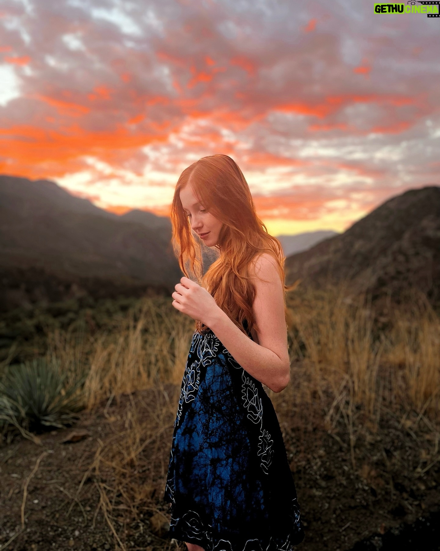 Chandler Lovelle Instagram - Have I finished the ACOTAR series and rewatched the first 3 Twilight movies this week? Absolutely I have π¦π«π©΅πͺ β’ β’ β’ β’ β’ Stop! DON'T GO ANY FURTHER! β’ β’ β’ β’ I warned you β’ β’ β’ Annoying hashtags incoming... π«£ β’ β’ β’ β’ #actorslife #redheadactress #redhead #fairycore #shewasafairy #faerie #acotar