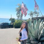 Chang Seung-yeon Instagram - Enjoying the beautiful California ☀️🌊🌴🌵✨