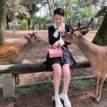 Chanidapa Pongsilpipat Instagram - ภาพที่มีเสียง 🦌~ เลื่อนรูปถัดไป #narapark #naradeer #naradeerpark #nara #japan #ChaniInAsia #FlatFF0634 #gucci