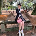 Chanidapa Pongsilpipat Instagram - ภาพที่มีเสียง 🦌~ เลื่อนรูปถัดไป #narapark #naradeer #naradeerpark #nara #japan #ChaniInAsia #FlatFF0634 #gucci