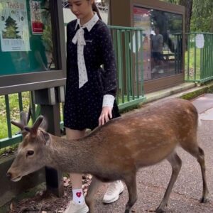 Chanidapa Pongsilpipat Instagram - ภาพที่มีเสียง 🦌~ เลื่อนรูปถัดไป #narapark #naradeer #naradeerpark #nara #japan #ChaniInAsia #FlatFF0634 #gucci