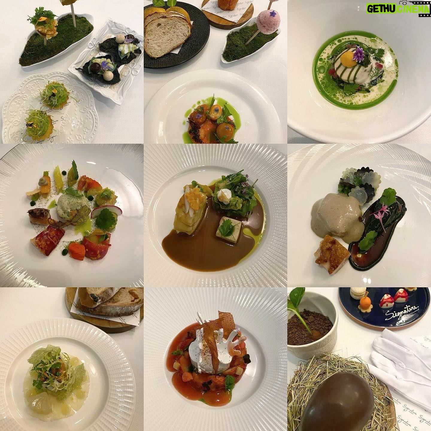 Chanidapa Pongsilpipat Instagram - 1-Michelin Star Fine Dining. ⭐️🇫🇷 #1michelinstar #finedining #modernfrenchcuisine #chanidapig