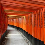 Chanidapa Pongsilpipat Instagram - The longer you wait for something, the more you appreciate it when you get it. ⛩️🌻 #fushimiinaritaisha #fushimiinarishrine #kyoto #japan #ChaniInAsia #gucci