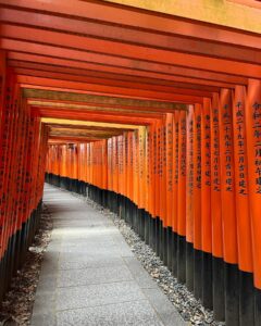 Chanidapa Pongsilpipat Instagram - The longer you wait for something, the more you appreciate it when you get it. ⛩️🌻 #fushimiinaritaisha #fushimiinarishrine #kyoto #japan #ChaniInAsia #gucci