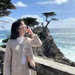 Chanidapa Pongsilpipat Instagram - นั่งรถมาอย่างไกลเพื่อถ่ายกับไซปรัสต้นนี้ 🌳🇺🇸 #lonecypress #17miledrivemonterey #17miledriveatpebblebeach #pebblebeach #monterey #california #USA #ChaniInUSA #ysl