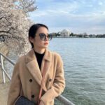 Chanidapa Pongsilpipat Instagram - To fall in love with yourself is the first secret to happiness. 😎🇺🇸🌸 #tb #thomasjeffersonmemorial #cherryblossom #spring #springseason #WashingtonDC #USA #ChaniInUSA #celine #gucci #toryburch
