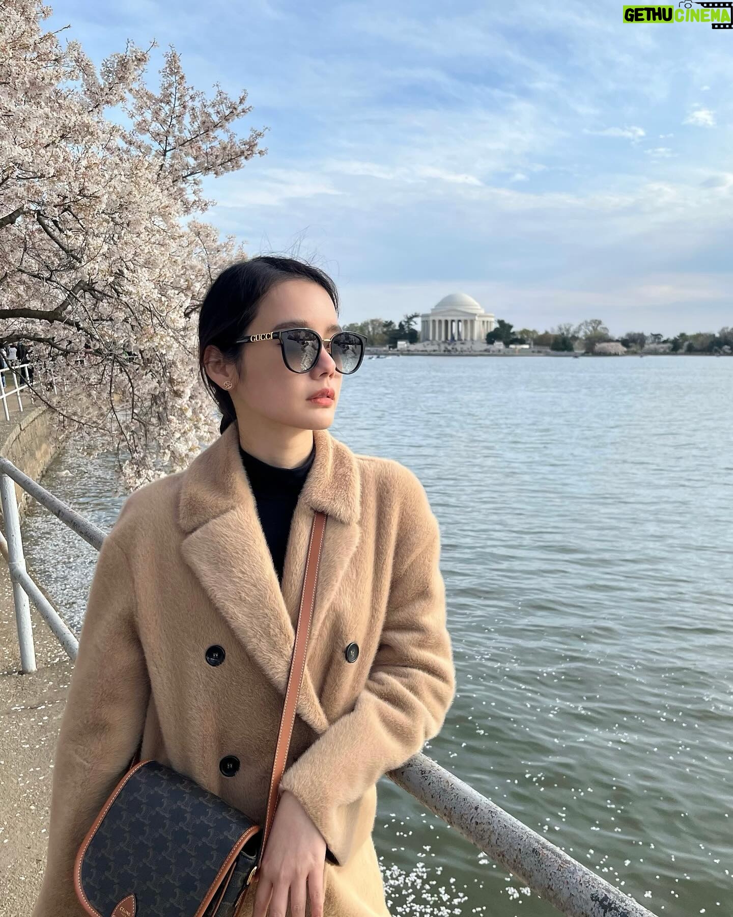 Chanidapa Pongsilpipat Instagram - To fall in love with yourself is the first secret to happiness. ππΊπΈπΈ #tb #thomasjeffersonmemorial #cherryblossom #spring #springseason #WashingtonDC #USA #ChaniInUSA #celine #gucci #toryburch