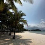 Charlène Le Mer Instagram – Sur la plage abandonnée…🐚☀️