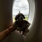 Charlène Le Mer Instagram – Finally… VIETNAM 🥹🇻🇳

Un voyage que je ne suis pas prête d’oublier et ce n’est que le début, j’ai hâte de partager avec vous ce séjour ! Comme je vous disais c’est une première pour moi de partir aussi loin de mes enfants mais également de Benoît.. mais c’est un voyage que je compte vivre pleinement et qui je sais me fera du bien 🙏🏻
Je suis partie avec @vietnamairlines_france, une très belle compagnie sur laquelle j’ai pu vivre ma première expérience en business class et…quel confort ! 🥹

1 – It’s real ? 😍
2 – L’abus d’alcool est dangereux pour la santé, à consommer avec modération 🥂
3 – Mes bébés avec moi, même dans l’avion 
4 – On commence par une petite entrée 
5 – Le plat 🤌🏻
6 – Pas plus haut que le verre svp 🤓
7 – Doudou en voyage 
8 – Moi qui teste la position lit 
9 – Quand tu dois faire un choix 
10 – Plats 37393749
11 – Je confirme, on est bien arrivé au Vietnam 🛵 

Publicité