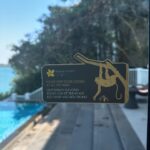 Charlène Le Mer Instagram - 🐆☀️