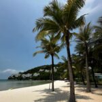 Charlène Le Mer Instagram – Sur la plage abandonnée…🐚☀️