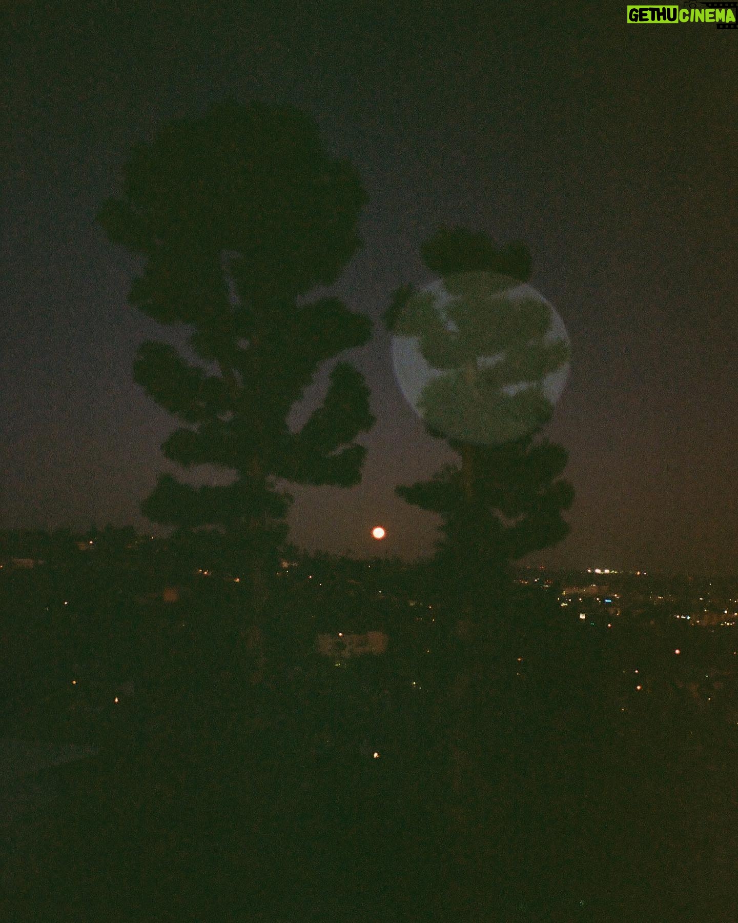 Charlotte Le Bon Instagram - Lune en salicorne 🌜