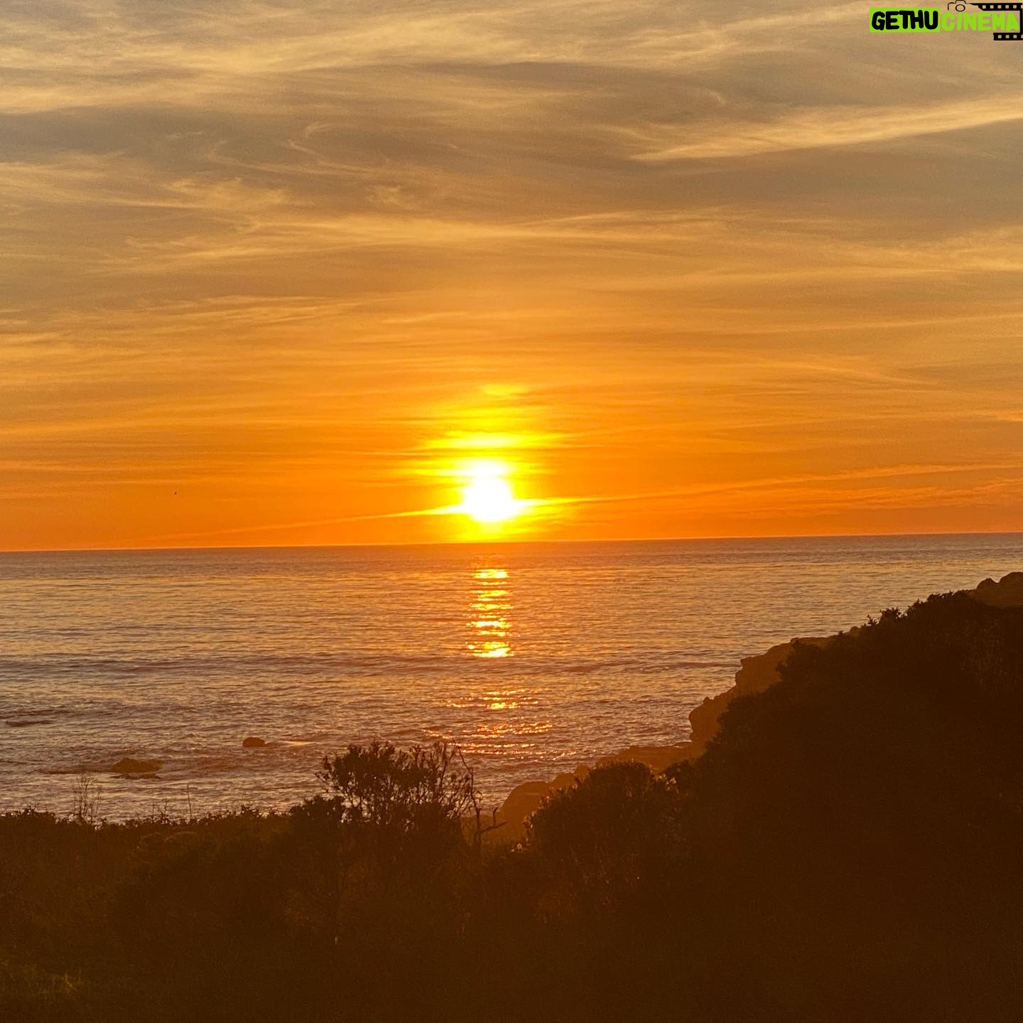 Charlotte Ross Instagram - Magical time in Cambriaβ¦ (sound on) ππβ€οΈππ
π₯Ύππ²π¦
π¦ #gratitude