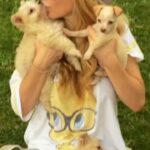 Charlotte Ross Instagram – Fostering saves lives and it has brought me soo much joy! If you’ve never fostered before, please consider it!🙏🏼 It can be as little as a few days or even months but it helps the animal(s) feel safe and learn consistent love which in turn makes them more adoptable. Please, think about going to your local county or city animal shelter and fill your home with love while helping save innocent lives❤️🐶🐱 #foster #fosteringsaveslives #fostercare #fosterdog #fosterkittens #adoptdontshop #dogs #cats