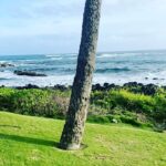 Charlotte Ross Instagram - Beautiful Kauai 🌺🌴👙🥾🌈#kauai #nofilter