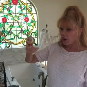 Charo Instagram - Hola Amigos I Want To Share With You How I Teach my Bird to be Potty Trained Her Name Is Moonbow and Never Binside the Cage She Fly Allover the Bathroom and is Bilingual and Love Spanish Music . I Hope You Like It I love You All .  Besos. #charo #cuchicuchi #birds #birdsofinstagram #nature #moonbow #beautiful #home #fun #love #beverlyhills #bilingual #Spanish #big #fyp #foryou #foryoupage #weekend #saturday #loveyouall