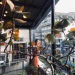 Cheer Chen Instagram - 🌼 合作多年的耕名邀請我去他工作室走走，後來他建議提早約定的時間，『光線比較好』，於是我享受到一個短暫卻難忘的旅程。Bito員工低頭在繪圖，好幾個人桌上擺放底片相機和新買的底片，架上有絕版的misc雜誌，改建的老屋保留舊戲院的挑高空間，視野好時還可以看到淡水河。﻿ ﻿ 我們合作得過獎的『手的預言』，還有『小船』mv，而屢屢在國際展露鋒芒但我想這也不是他最終所追求，我好奇的問，你覺得到底『設計是什麼？』他回答：『You』。設計是你，把你的完整性和潛能都發揮。我於是想，『恰到好處的我，目標是你，無限的我們』，我覺得很美。看著窗外日落果然完美照射進來，我坐在Eames的椅子上想著，如果生活像一間房子，可以設計成什麼樣子呢？一天，一個禮拜，一段因為疫情打亂的意外時光，當一切不如預期，我是否能重新改建，不只是計畫，而是用不同觀點來設計它？﻿ ﻿ 離開時我們在附近走走，想起父親說，要不是爺爺堅持學醫不從商，我們就是迪化街的南北貨田僑仔。雖是玩笑話，但每次走進迪化街，城隍廟附近沿路飄過藥材，醃漬的蘿蔔乾，日曬後漁貨，殷實小吃攤的氣味，依然有著童年熟悉的感覺。祖母常說：『一枝草一點露』。看著街區的人們俐落做著手邊工作，充分感受到日常生活的充沛能量，抬頭看，花都開了。